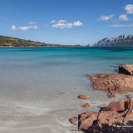 Aria Di Vacanza - Gelsi Olbia Ngoại thất bức ảnh