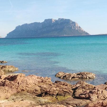 Aria Di Vacanza - Gelsi Olbia Ngoại thất bức ảnh