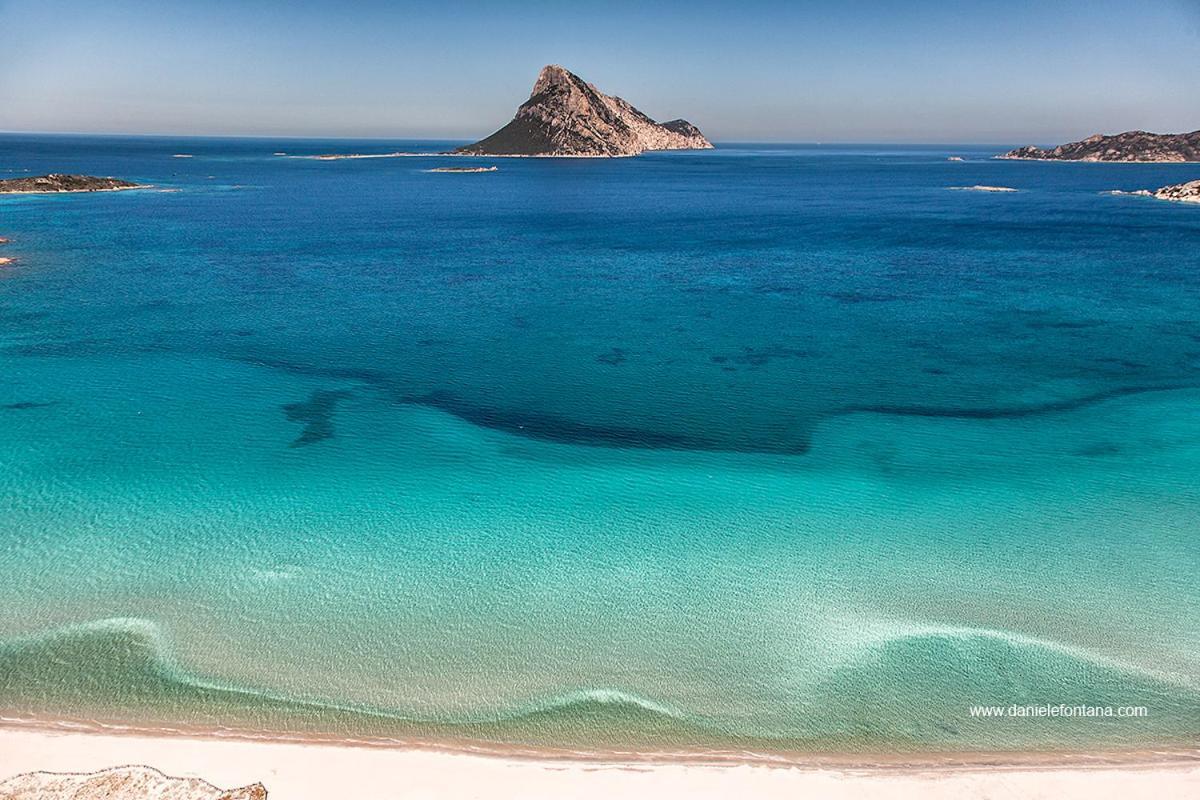 Aria Di Vacanza - Gelsi Olbia Ngoại thất bức ảnh