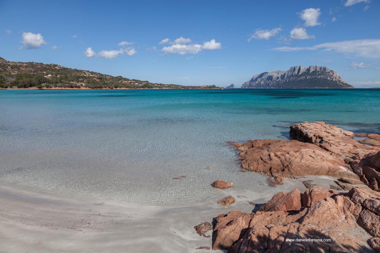 Aria Di Vacanza - Gelsi Olbia Ngoại thất bức ảnh