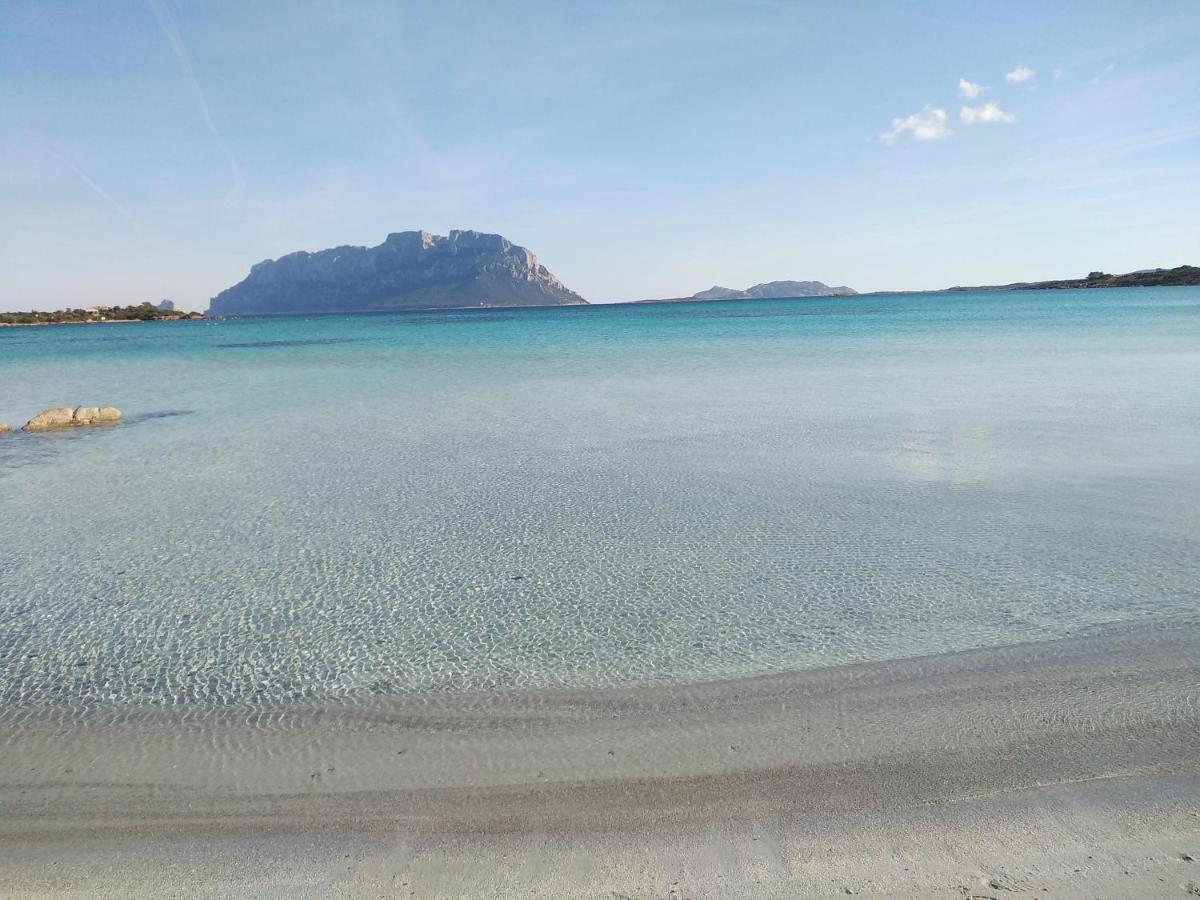 Aria Di Vacanza - Gelsi Olbia Ngoại thất bức ảnh