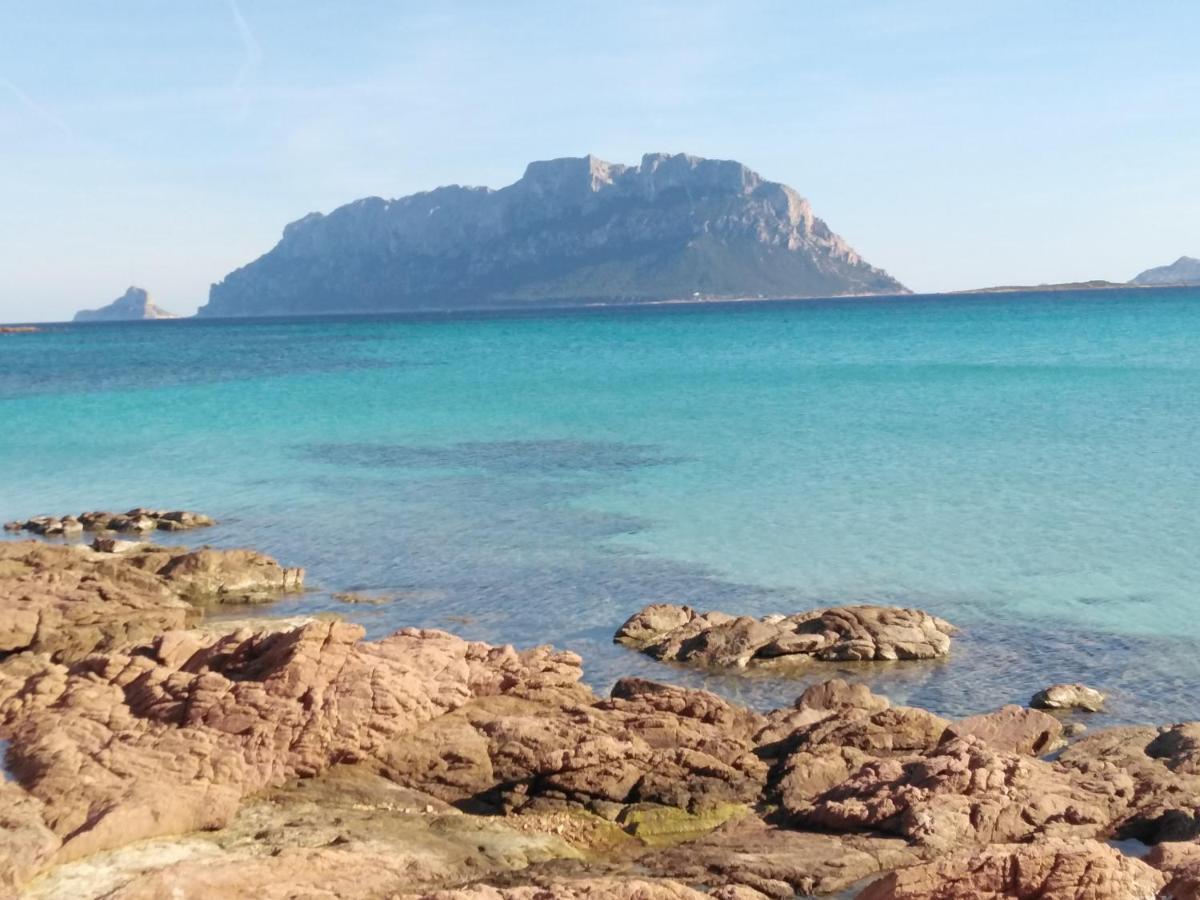 Aria Di Vacanza - Gelsi Olbia Ngoại thất bức ảnh